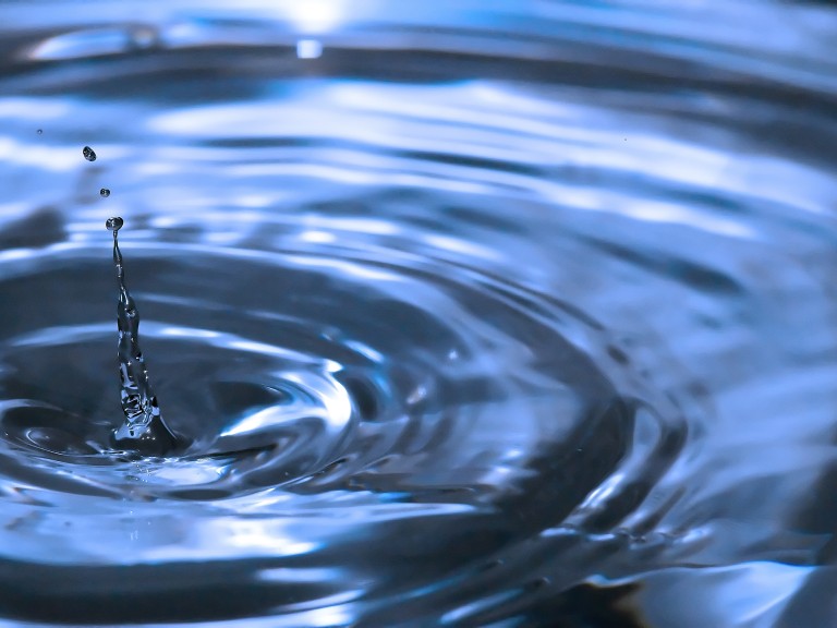 Wasser