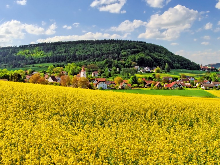 Dorf in Bayern mit Rapsfeld