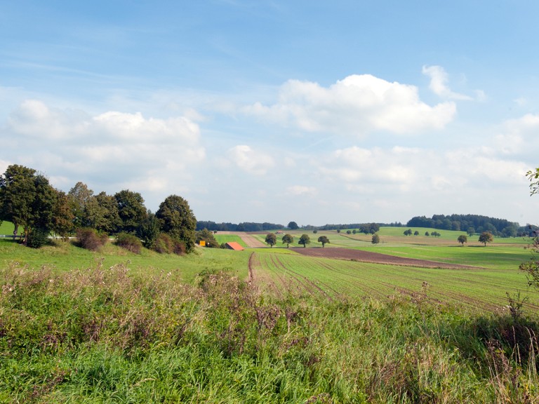 Abwechslungsreiche Landschaft in Bayern