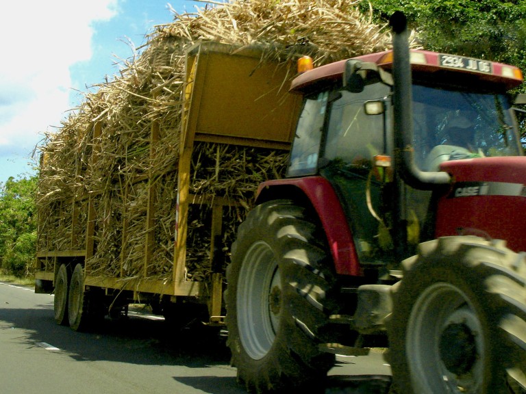 Traktor mit Strohballen auf Straße