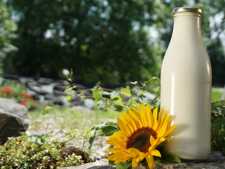 Milchflasche im Grünen