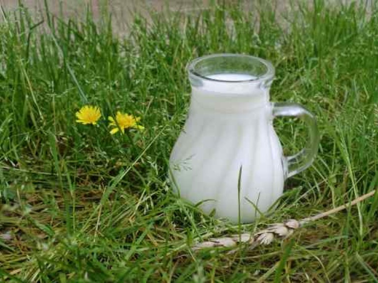 Milch