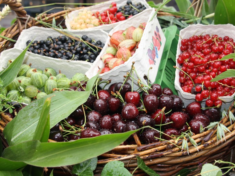 Obst-Beeren