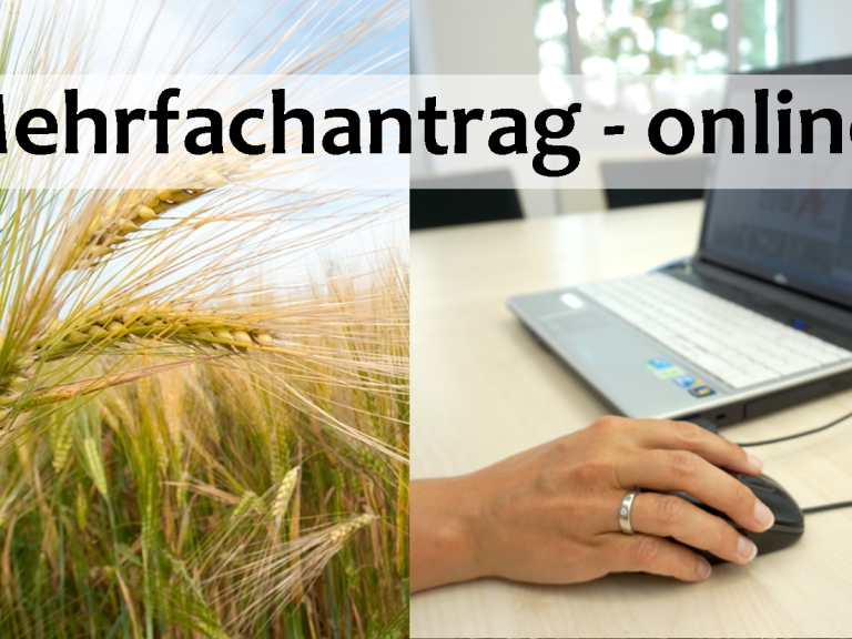 Mehrfachantrag online stellen