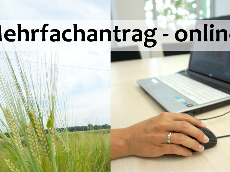 Gerste am Feld und PC-Bildschirm; der Landwirt stellt den den Mehrfachantrag online