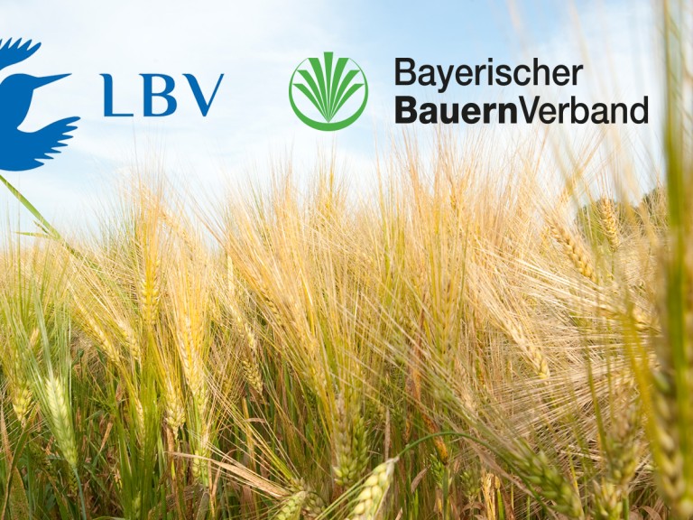 Der LBV und der Bayerische Bauernverband setzen sich gemeinsam für den Natur- und Artenschutz ein.