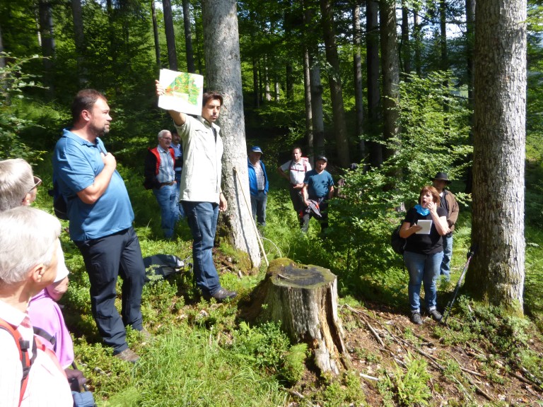 Wald Jagd Begang