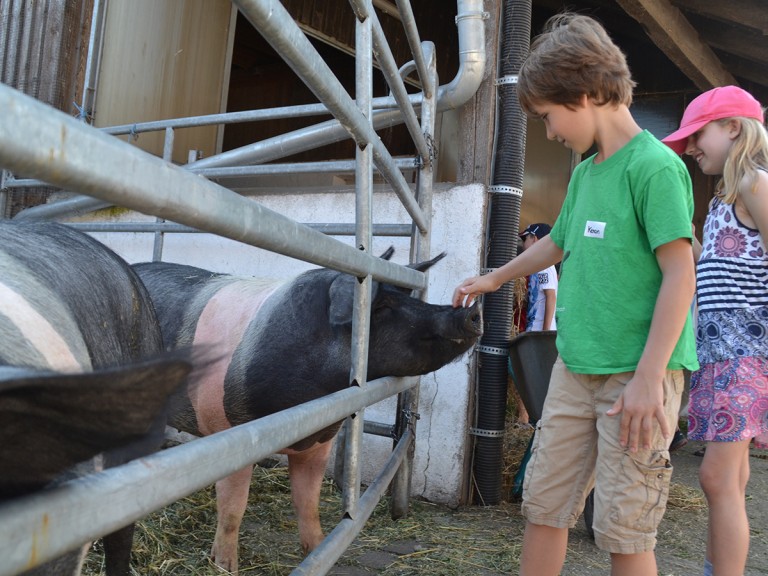 Zwei Kinder streicheln ein Schwein