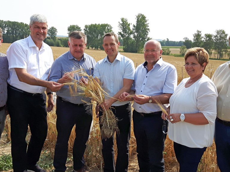 Starke Trockenheit schadet den Feldern der Bauern in Franken