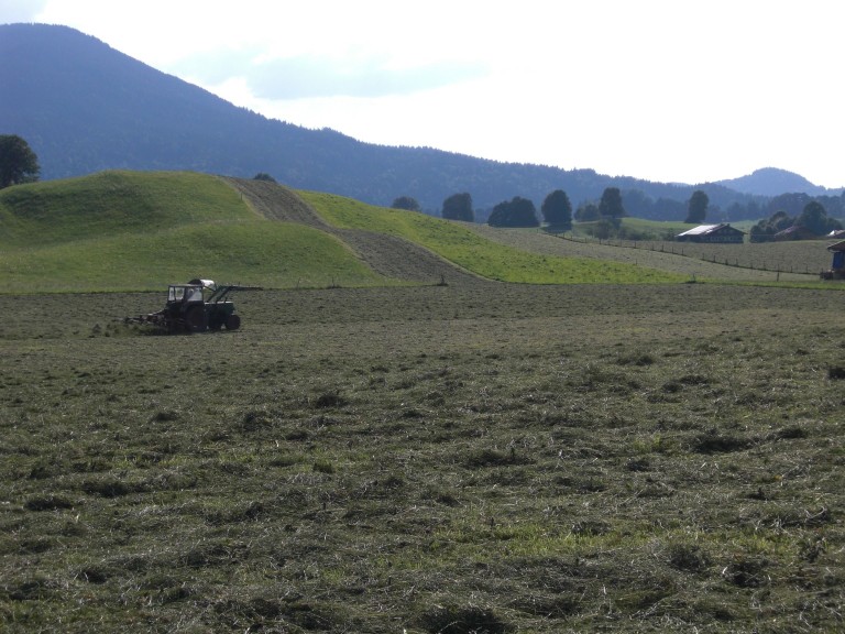 2018-07-02 Grünland