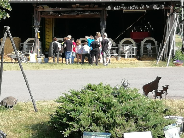 Gruppenbild Schulklasse auf Bauernhof