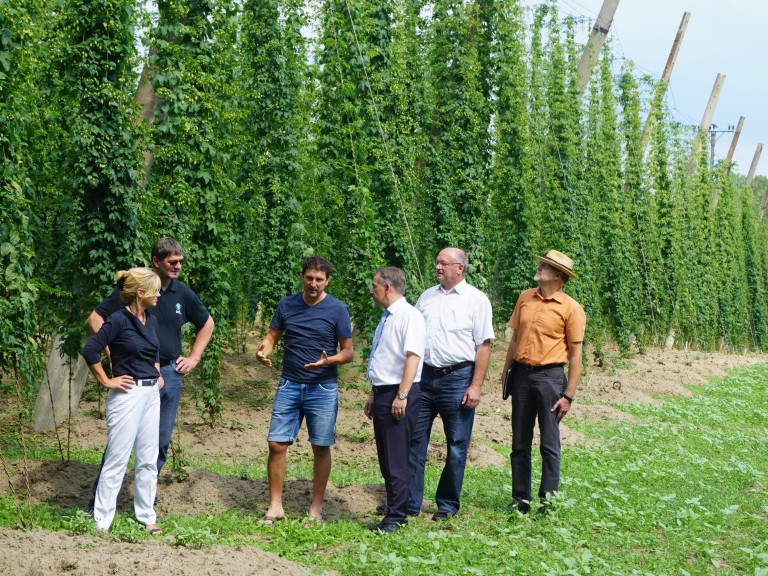2018-07-23_Hopfenanbaubetrieb_Eckert_Herpersdorf