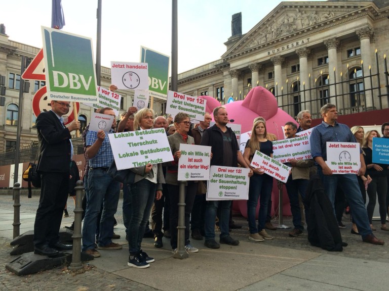 Demo vor Bundesrat Ferkelkastration