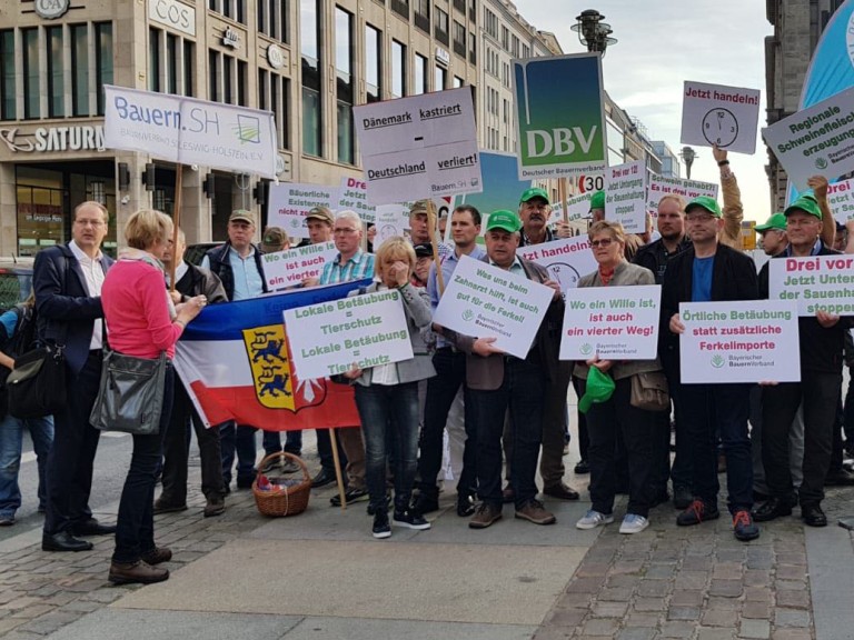 Demo in Berlin Ferkelkastration