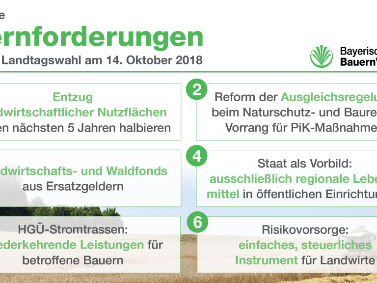 Die sechs Kernforderungen des Bayerischen Bauernverbandes zur Landtagswahl 2018
