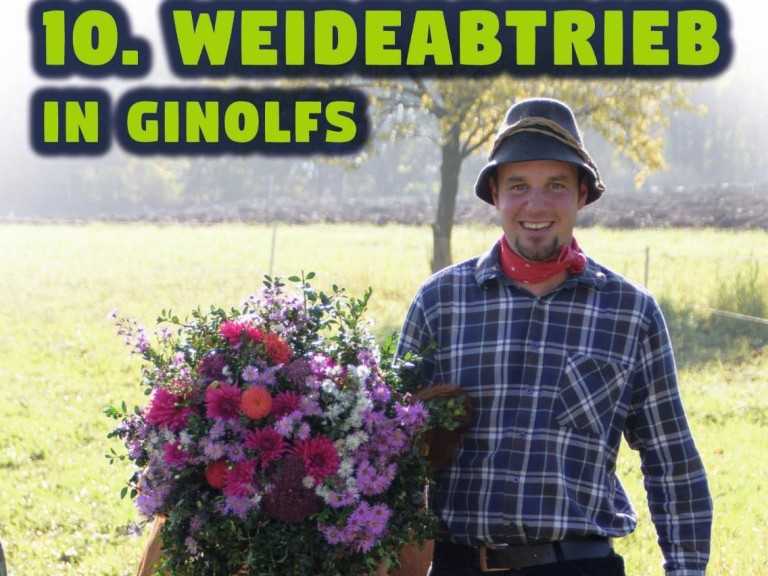 Weideabtrieb Ginolfs