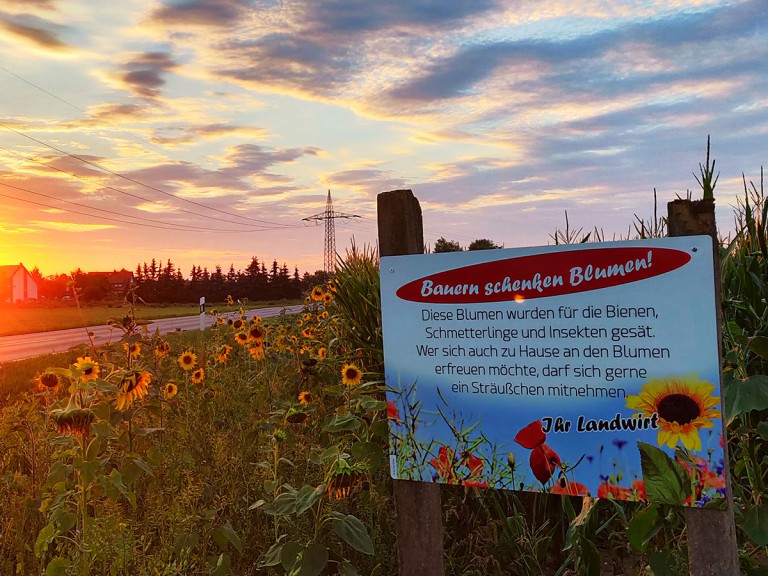 Bild des Wettbewerbs "Bluehende Rahmen 2018" von Leo Göller aus dem Landkreis Bamberg / Oberfranken