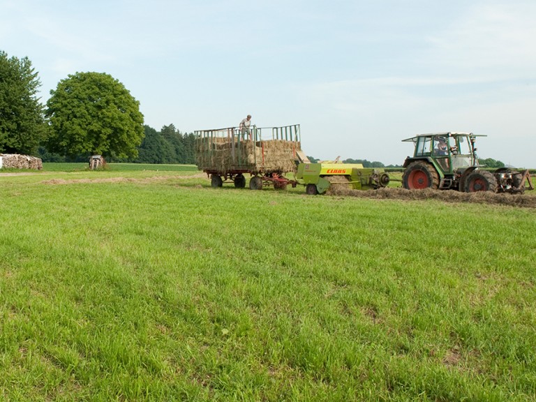 Grünlandbewirtschaftung in Bayern