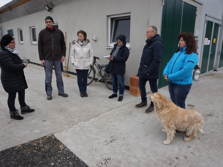 2019-01-16-Stallgespräch-Blankenbühler-Fetzelhofen