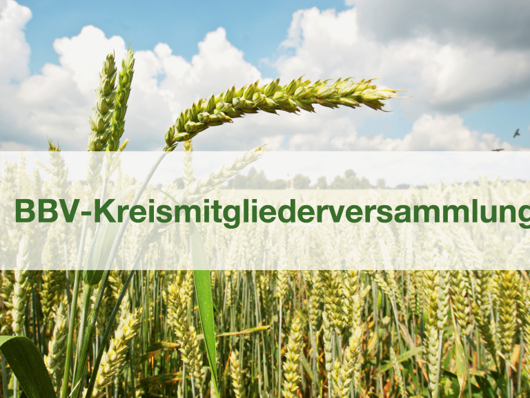 27. Februar 2019 im Gasthaus Adler in Wiesenbach 