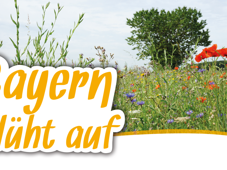 Headerbild Bayern blüht auf