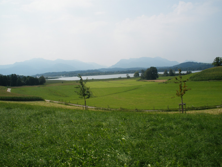 Landschaft Chiemsee