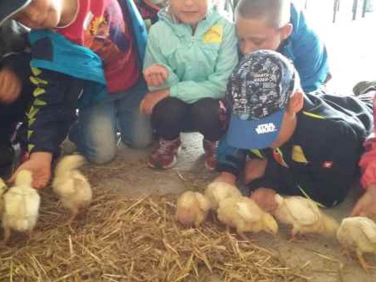 Kindertag auf bayerischen Bauernhöfen