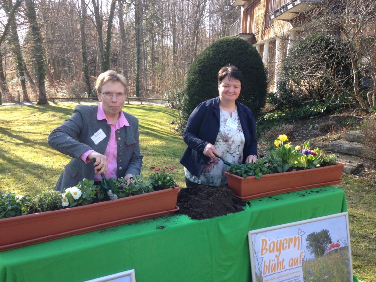 Blumenkasten bepflanzen