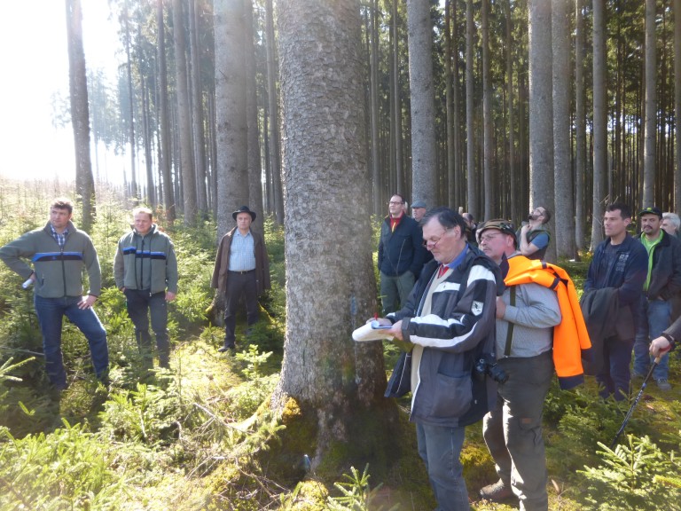 Waldbegang 