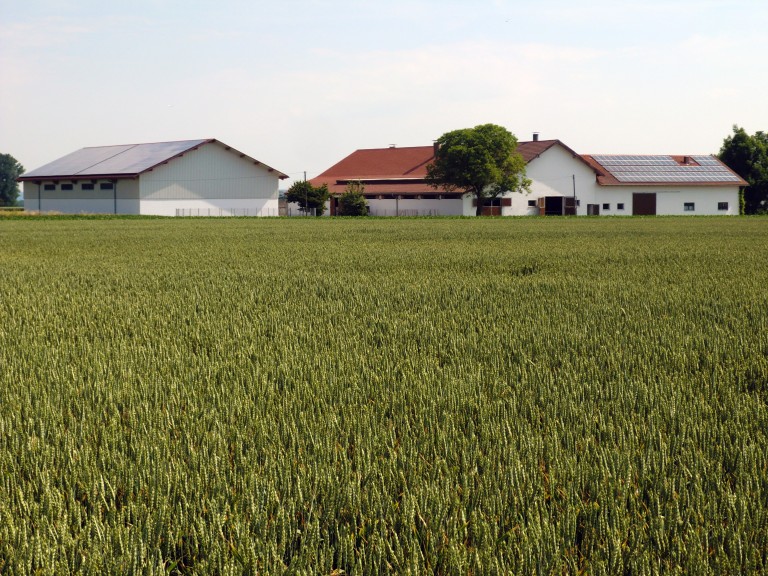Ein Bauernhof arrondiert von seinen Feldern.