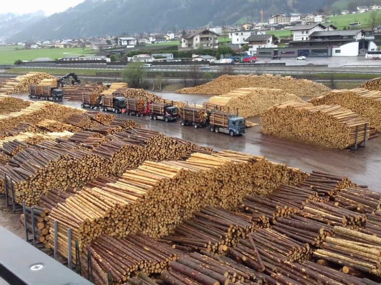 Holzlager in Fügen
