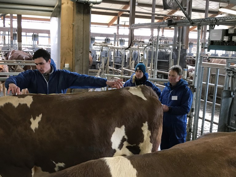 Aufgabe zur Tierbeurteilung beim Berufswettbewerb aus dem Landesentscheid.