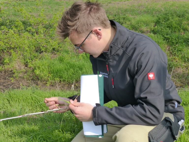 Ein junger Mann beim Bezirksentscheid des Berufswettbewerbs.