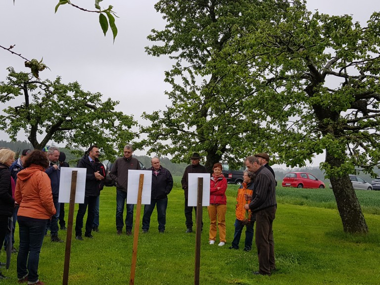 Menschen im Kreis