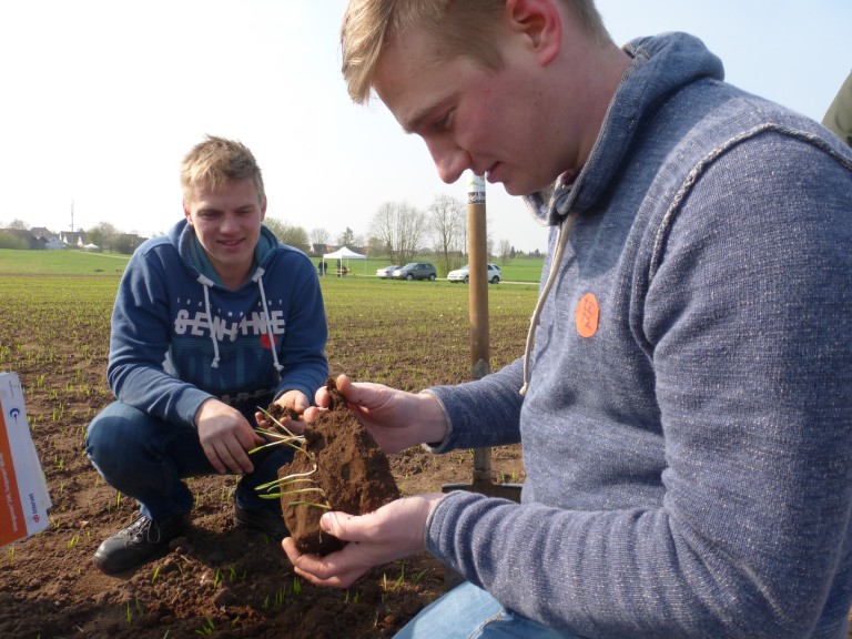 Ein junger Mann begutachtet junge Pflanzen auf dem Feld.