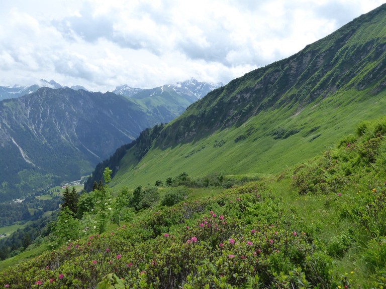 Exkursion Sölleralpe
