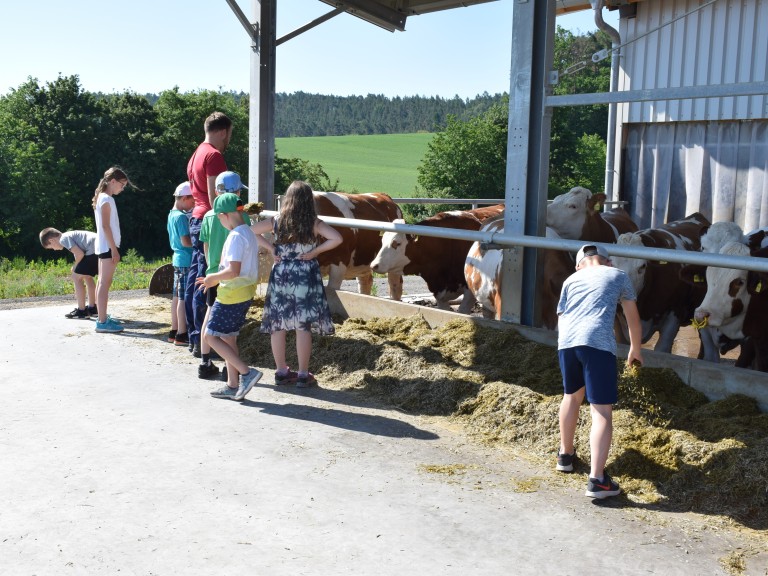 2019-06-03_Kindertag_auf_Bauernhof_Blankenbühler