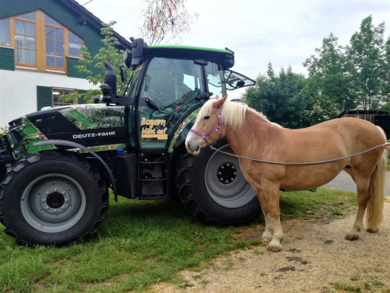 Schlepper und ein Pferd