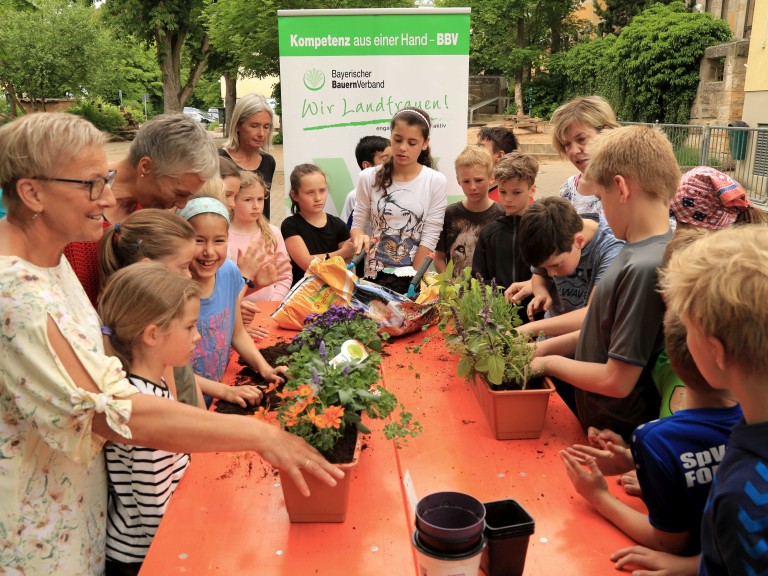 Bayern blüht auf in der Martinschule Forchheim