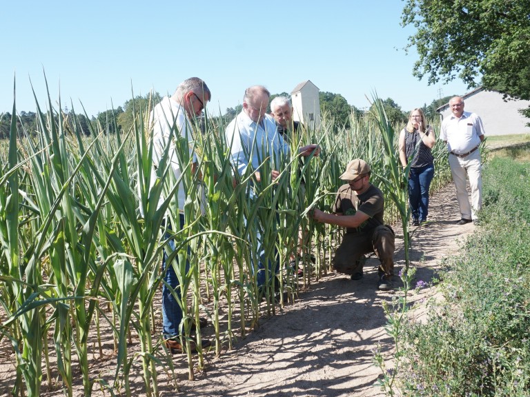 2019-07-24_Erntepressegespräch_KV_Fürth