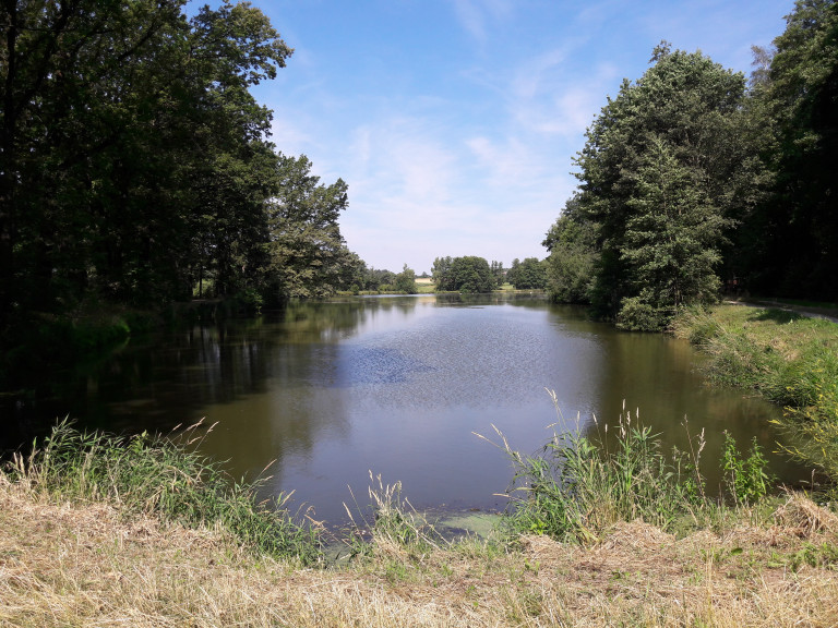 Teich
