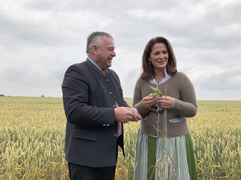 Bauernpräsident Heidl zusammen mit Landwirtschaftsministerin Kaniber im Getreidefeld bei der Erntepressefahrt.