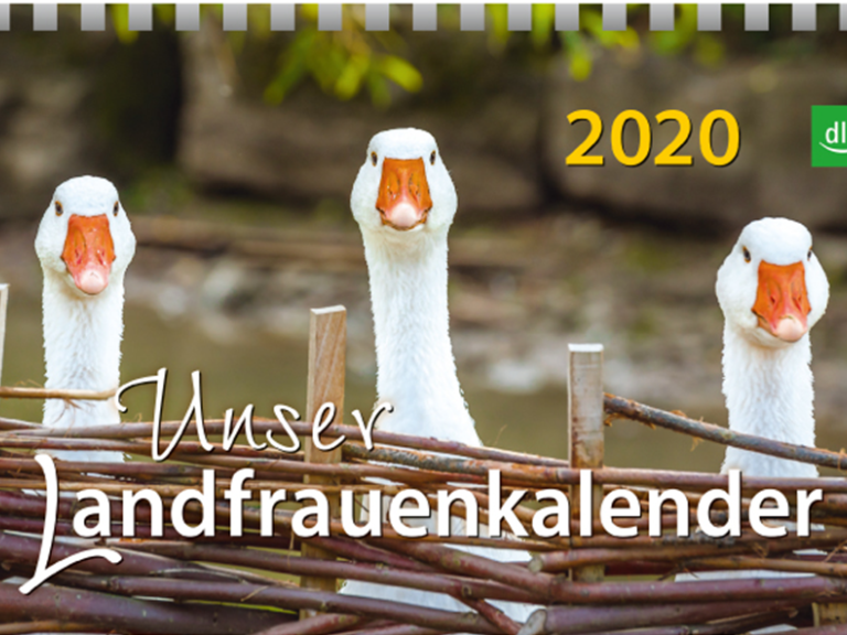 Landfrauenkalender mit Gänse