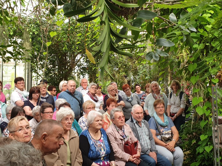 Orchideen Landfrauen