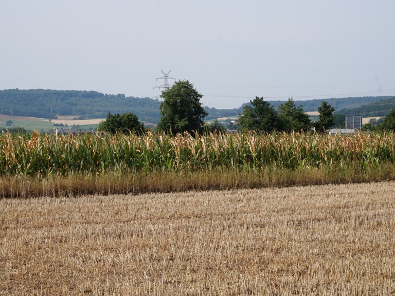 2019-07-22-Dürre