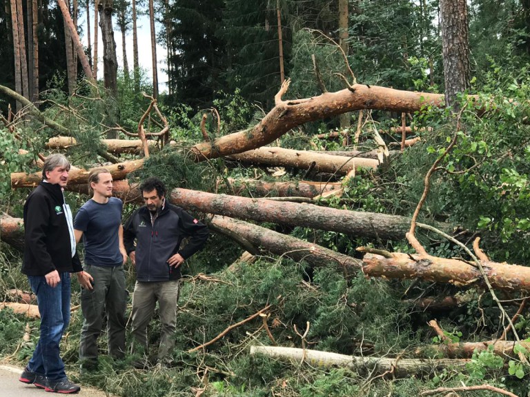 BBV-Bezirkspräsident Günther Felßner begutachtet die Unwetterschäden in einem Wald