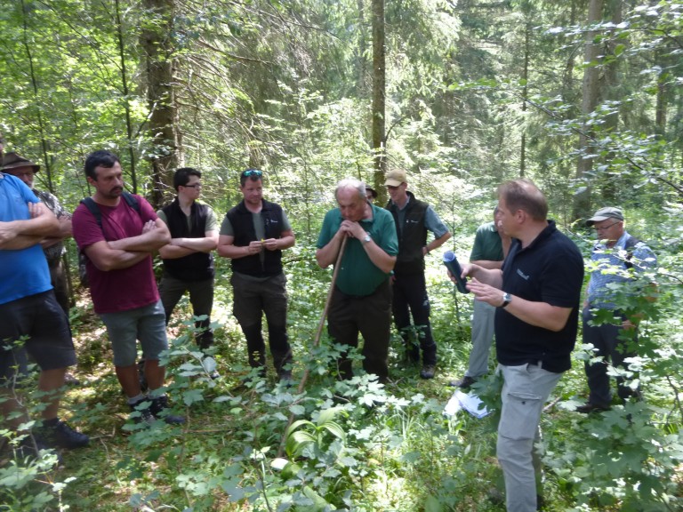 Waldbegang im Kenzengebiet