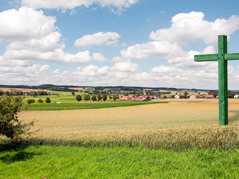 Symbolbild grünes Kreuz