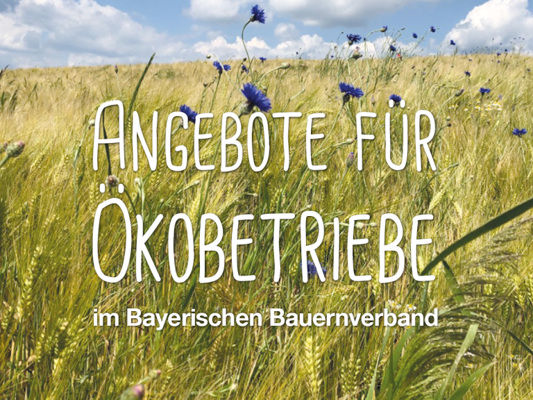 Angebote für Ökobetriebe im Bayerischen Bauernverband