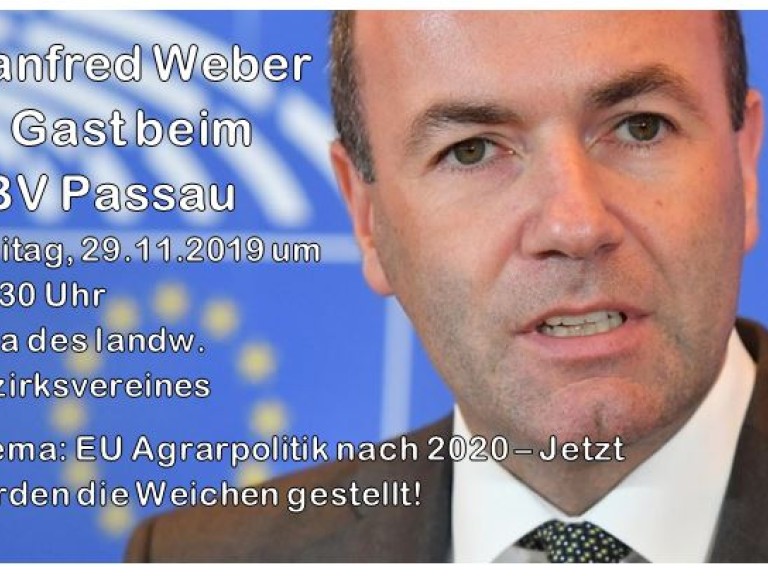Manfred Weber